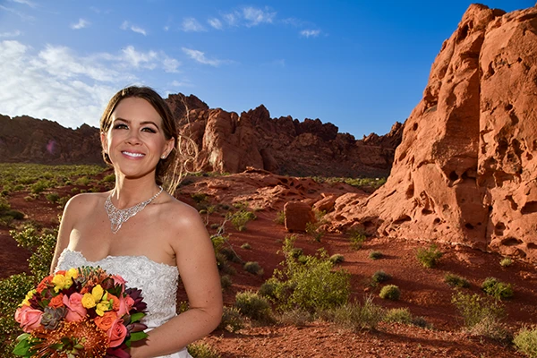 Valley of Fire Red Rocks Wedding