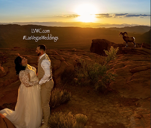 Soar Over Breathtaking Landscapes on Your Helicopter Wedding in Valley of Fire